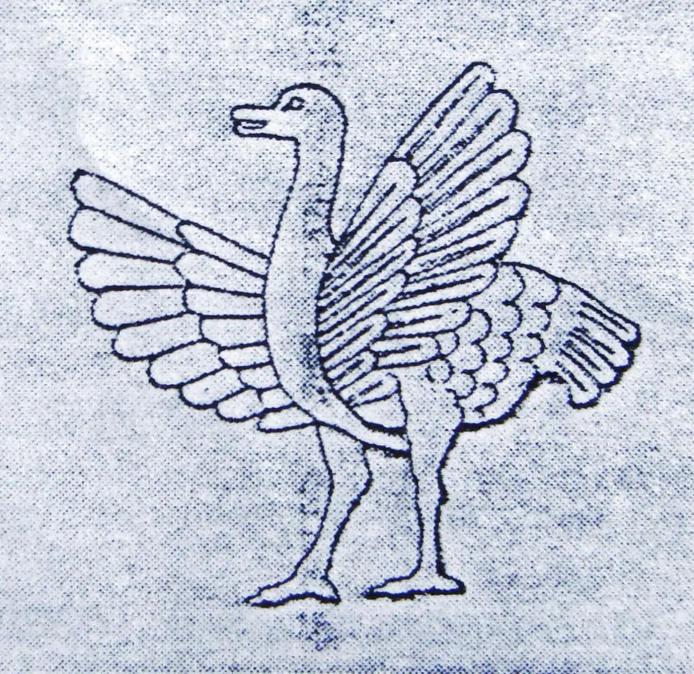 鸵鸟1.JPG